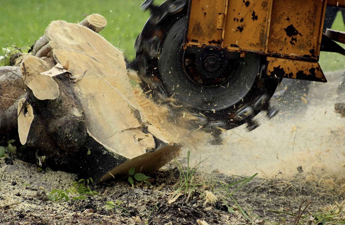 Stump Grinding & Removal